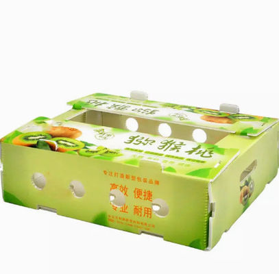PP Plastic	Fruit Packaging Boxes Hollow Plate Turnover Box Anti Static