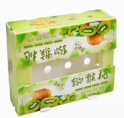 PP Plastic	Fruit Packaging Boxes Hollow Plate Turnover Box Anti Static