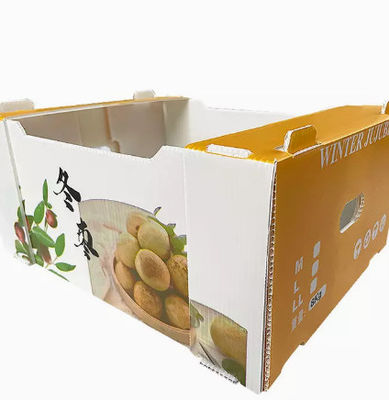 PP Plastic	Fruit Packaging Boxes Hollow Plate Turnover Box Anti Static