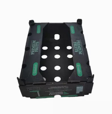 Width 2200mm Fruit Packaging Boxes Polypropylene Fruits Packing Plastic Box