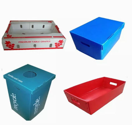 2400x1200 2440x1220 Fruit Vegetable Box Plastic Corrugated