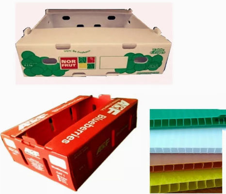 2400x1200 2440x1220 Fruit Vegetable Box Plastic Corrugated