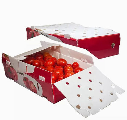 Vegetables Fruit Packaging Boxes Corrugated Plastic Static Protective