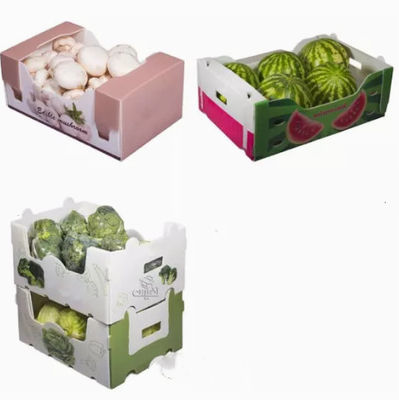 Vegetables Fruit Packaging Boxes Corrugated Plastic Static Protective